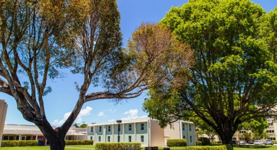 LYNN UNIVERSITY  - PROGRAMMA PREMIUM 